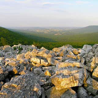 Hawk Mountain Sanctuary