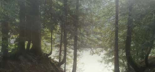 Photo of Emory Creek Provincial Park