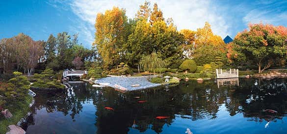 Photo of Earl Burns Miller Japanese Garden