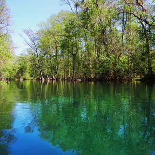 Silver Springs State Fish And Wildlife Area