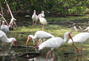 Photo of Florida Keys Wild Bird Rehabilitation Center