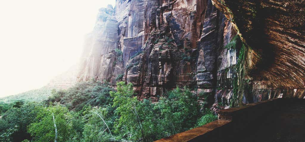Photo of Weeping Rock