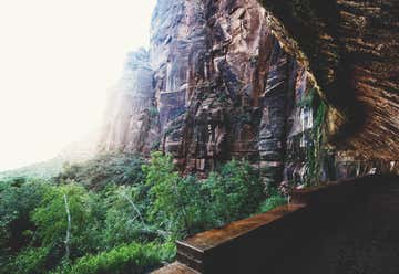 Photo of Weeping Rock