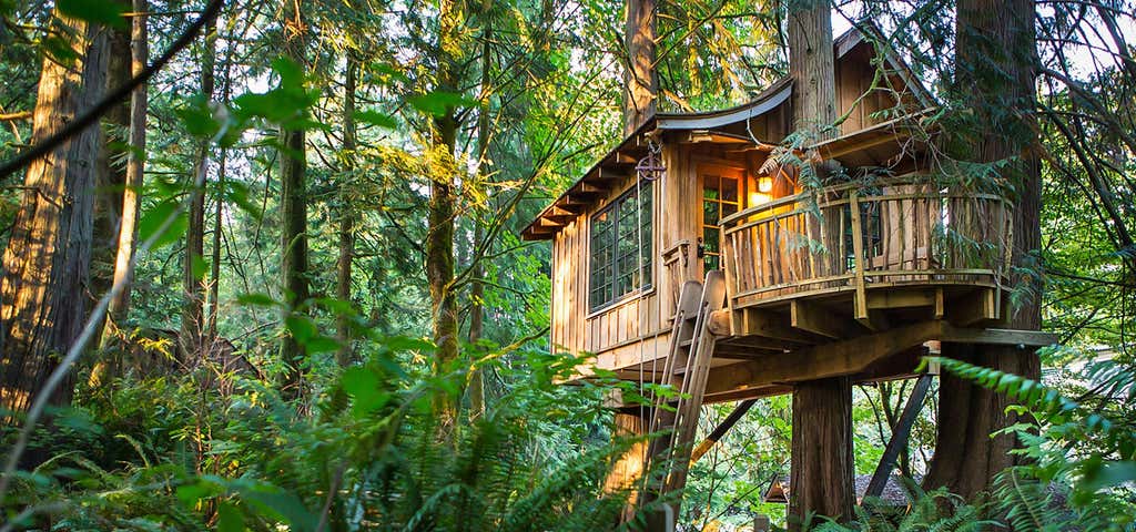 Photo of Nelson Treehouse - Tree House Point