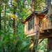 Treehouse Point