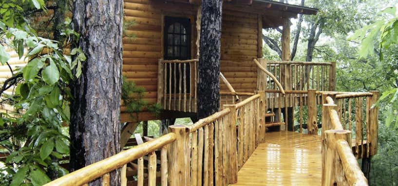 Photo of Treehouse Cottages