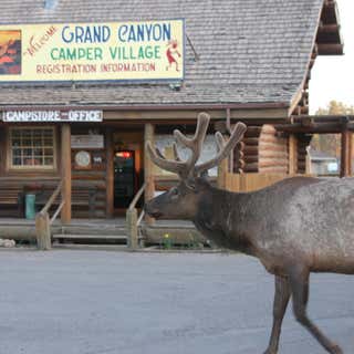 Grand Canyon Camper Village