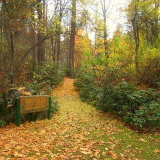 Finch Arboretum