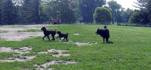Photo of Ithaca Dog Park