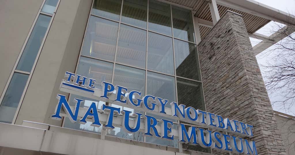 Peggy Notebaert Nature Museum, Chicago Roadtrippers