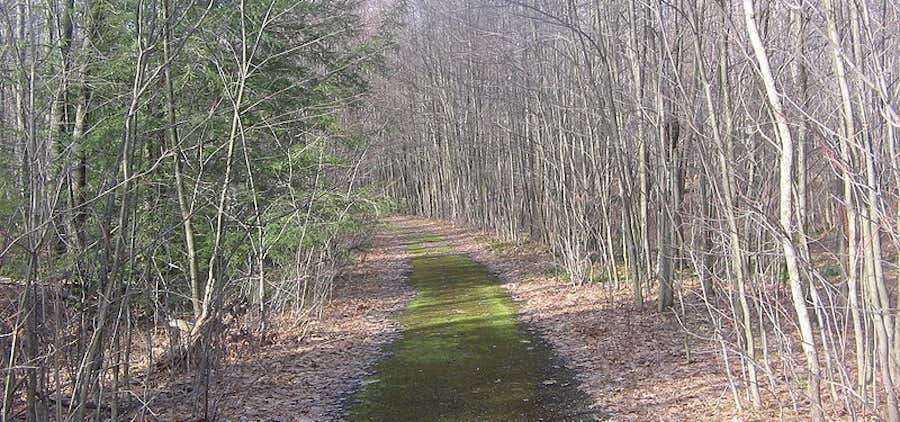 Photo of Wykoff Run Natural Area