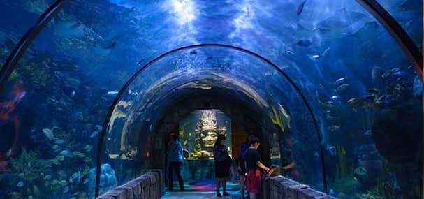 Photo of Häagen-Dazs Ice Cream - Aquarium of the Americas