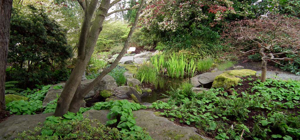 Photo of Bellevue Botanical Garden