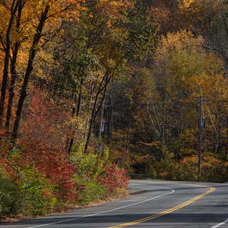 Mohawk Trail State Forest Campground