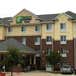 Holiday Inn Express & Suites Dallas - Grand Prairie I-20, an IHG Hotel