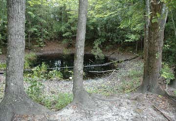 Photo of Mars Bluff Atomic Bomb Crater