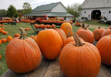 Photo of Devine Farms Pumpkin Patch