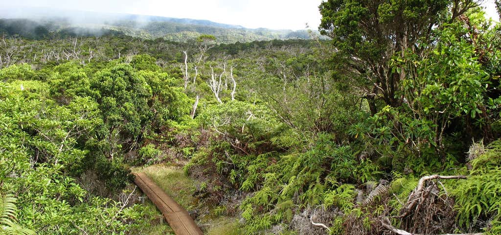 Photo of Pihea Trail