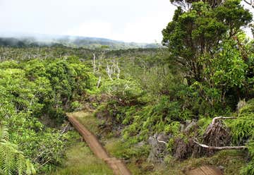 Photo of Pihea Trail