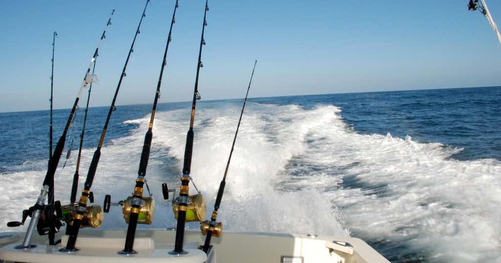 Southern Fishing Guide Service, Crystal River | Roadtrippers