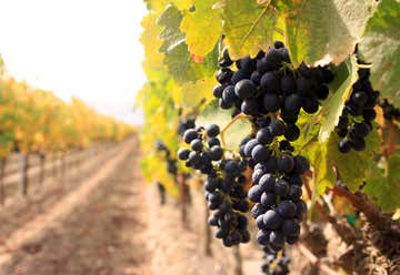 Photo of Levendi Winery