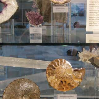 Barbour Cook Geology Museum