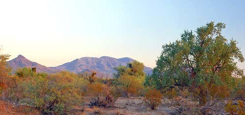 Photo of Sonoran Desert National Monument