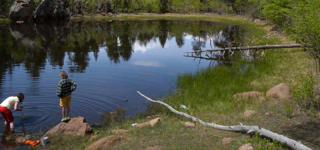 Photo of Taylor Creek Campground