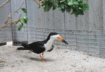 Photo of Suncoast Seabird Sanctuary