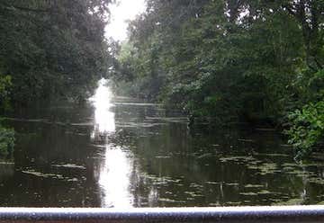 Photo of Jean Lafitte Swamp Tours