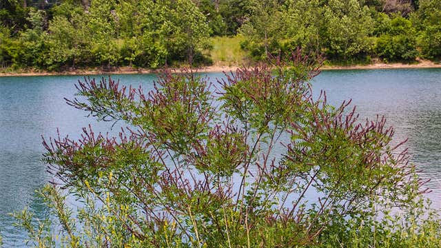 Campbell lakes preserve clearance