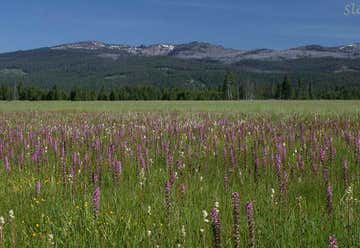Photo of Malheur National Forest