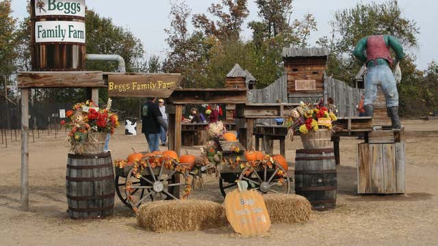 pumpkin patch near sikeston mo