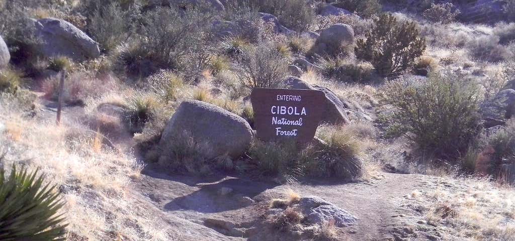 Photo of Cibola National Forest