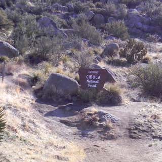 Cibola National Forest