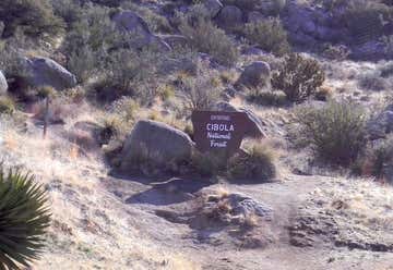 Photo of Cibola National Forest