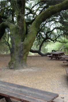 Photo of Ragle Ranch Regional Park | Roadtrippers