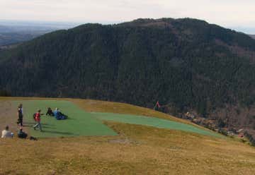 Photo of Squak Mountain State Park Natural Area