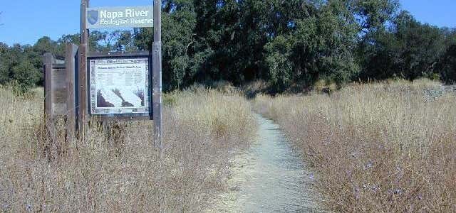 Photo of Napa River Ecological Reserve