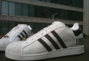 Photo of Adidas Big Shoes