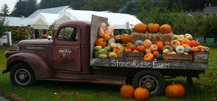 Photo of Stoney Ridge Farms