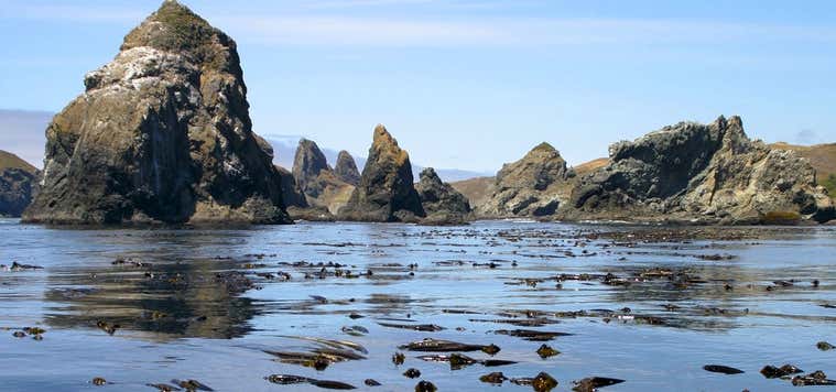 Photo of Oregon Islands National Wildlife Refuge