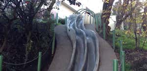 Seward Street Slides