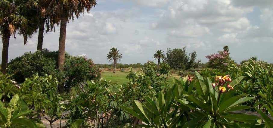 Photo of Corpus Christi Botanical Gardens