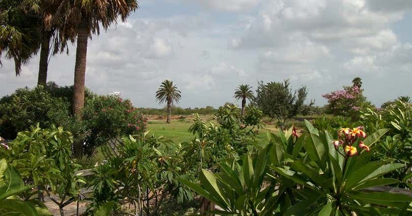 Botanical Garden Corpus Christi
