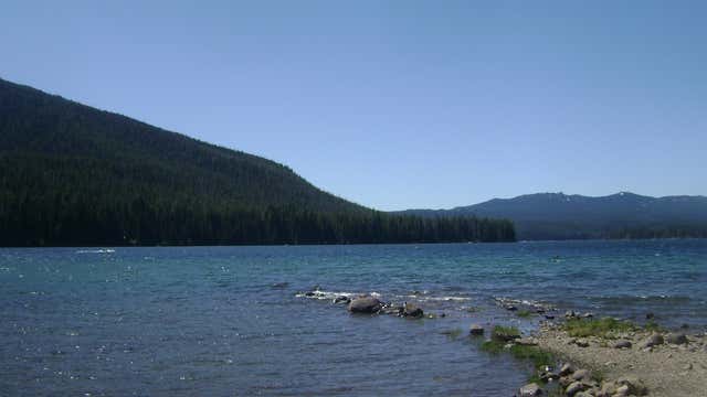 are dogs allowed at cultus lake