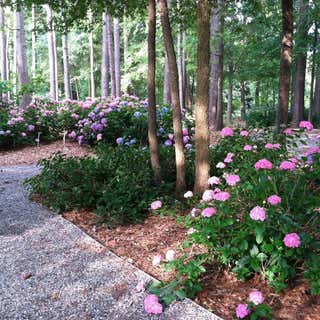 The South Carolina Botanical Garden