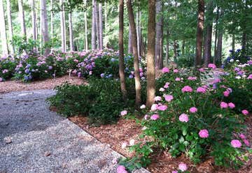 Photo of The South Carolina Botanical Garden