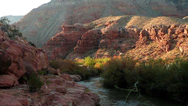 Virgin River Campground Littlefield Az Roadtrippers
