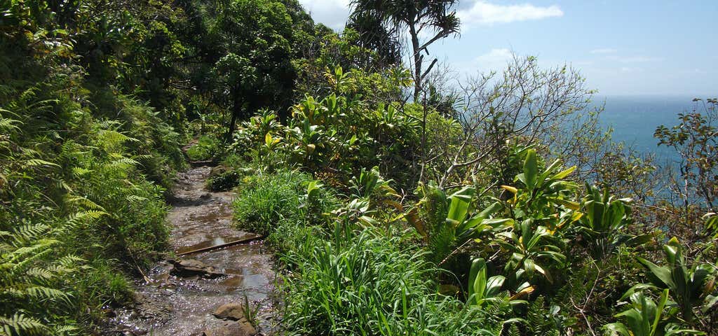 Photo of Kalalau Trail